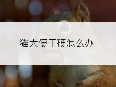 猫大便干硬怎么办