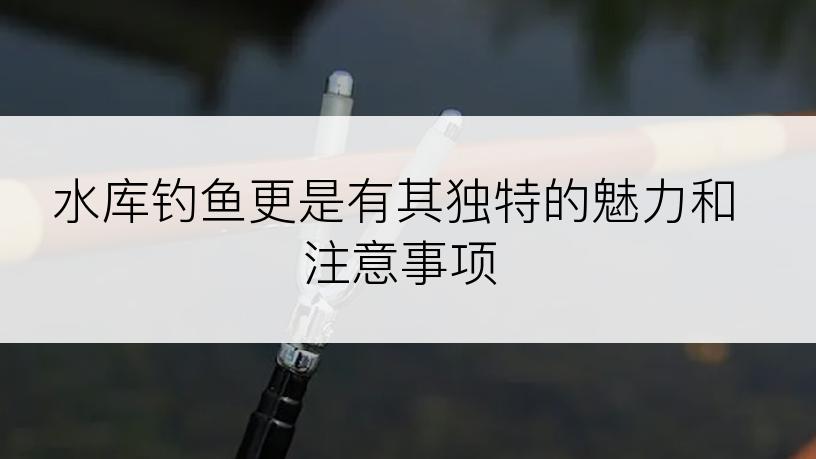 水库钓鱼更是有其独特的魅力和注意事项