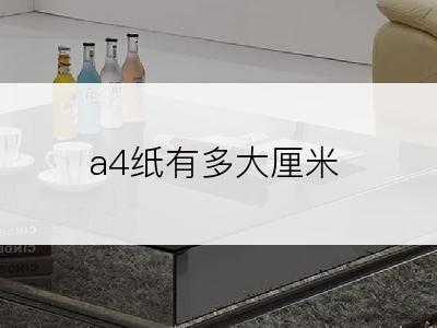 a4纸有多大厘米