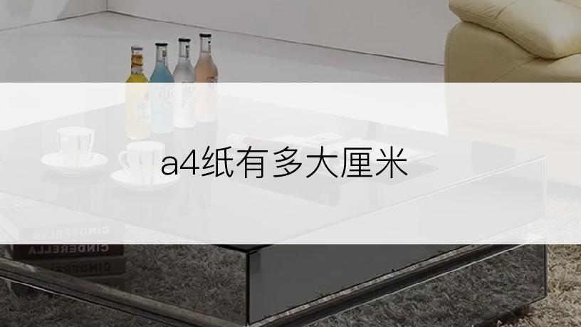 a4纸有多大厘米