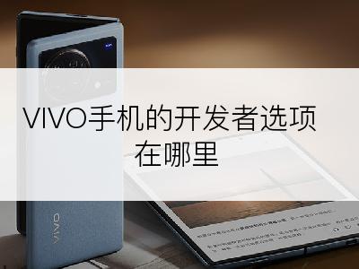 VIVO手机的开发者选项在哪里