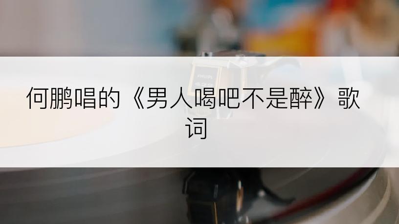 何鹏唱的《男人喝吧不是醉》歌词