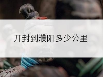 开封到濮阳多少公里