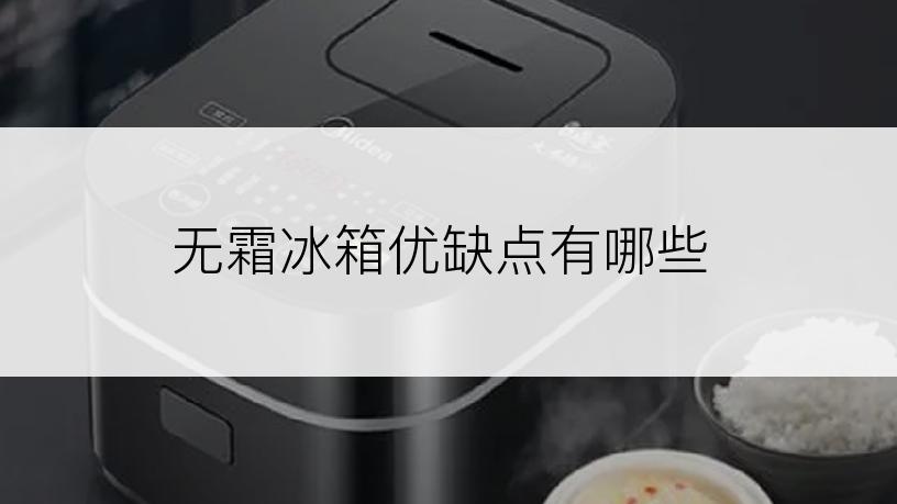 无霜冰箱优缺点有哪些