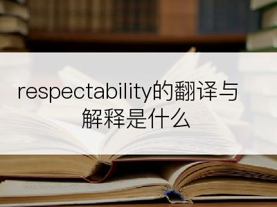 respectability的翻译与解释是什么