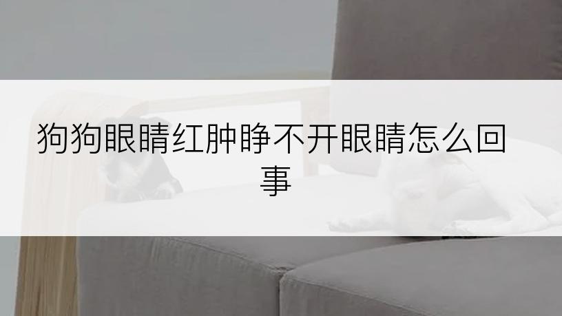 狗狗眼睛红肿睁不开眼睛怎么回事