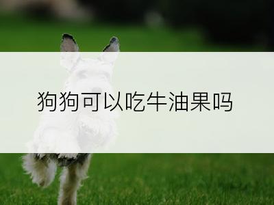 狗狗可以吃牛油果吗