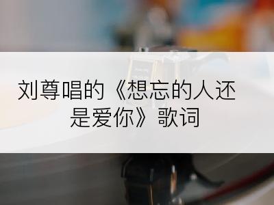 刘尊唱的《想忘的人还是爱你》歌词