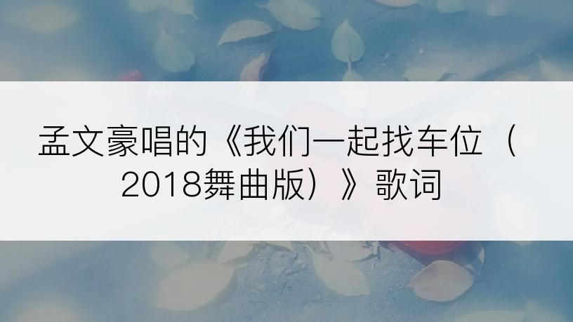 孟文豪唱的《我们一起找车位（2018舞曲版）》歌词