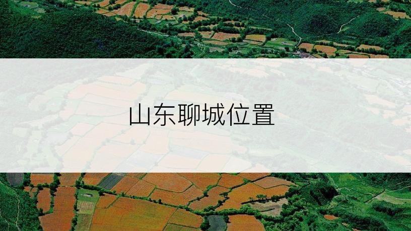 山东聊城位置