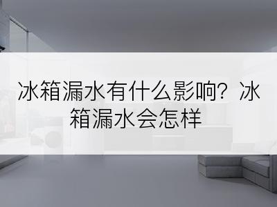 冰箱漏水有什么影响？冰箱漏水会怎样