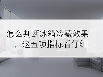 怎么判断冰箱冷藏效果，这五项指标看仔细