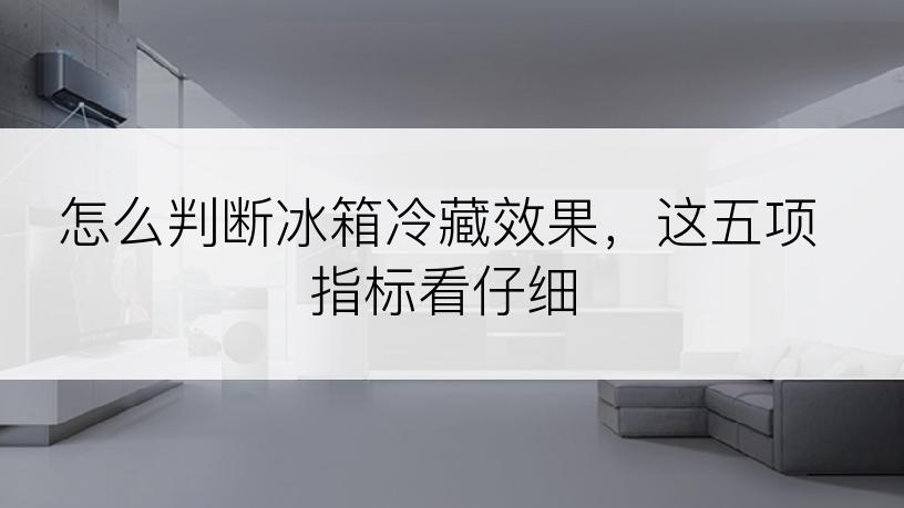 怎么判断冰箱冷藏效果，这五项指标看仔细