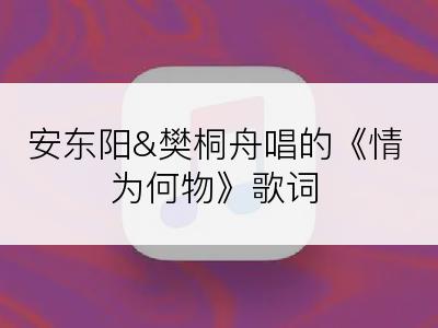 安东阳&樊桐舟唱的《情为何物》歌词