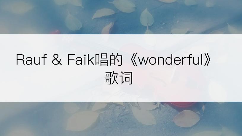 Rauf & Faik唱的《wonderful》歌词