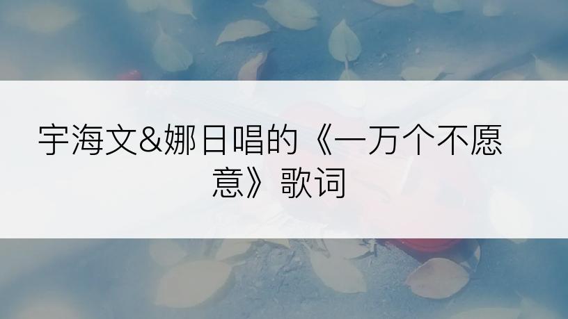 宇海文&娜日唱的《一万个不愿意》歌词