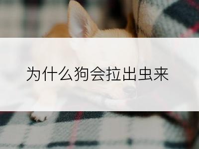 为什么狗会拉出虫来