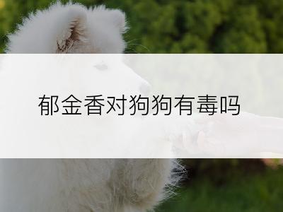 郁金香对狗狗有毒吗