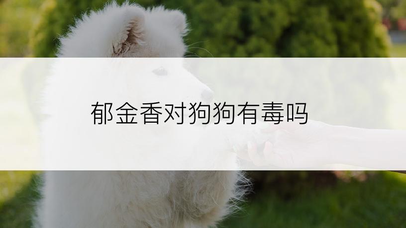 郁金香对狗狗有毒吗