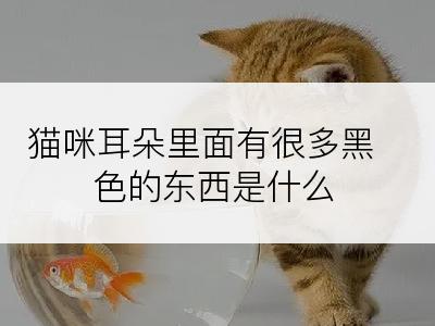 猫咪耳朵里面有很多黑色的东西是什么