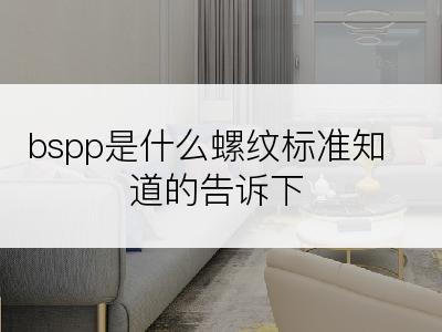 bspp是什么螺纹标准知道的告诉下