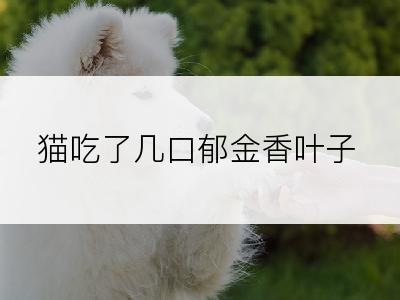 猫吃了几口郁金香叶子