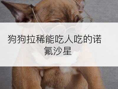 狗狗拉稀能吃人吃的诺氟沙星