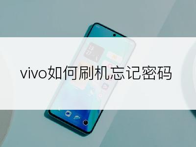 vivo如何刷机忘记密码