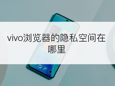 vivo浏览器的隐私空间在哪里