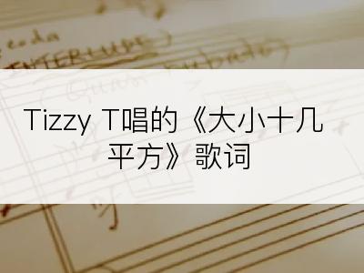 Tizzy T唱的《大小十几平方》歌词