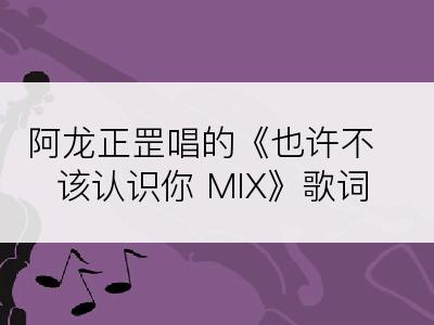 阿龙正罡唱的《也许不该认识你 MIX》歌词