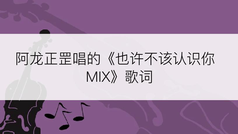 阿龙正罡唱的《也许不该认识你 MIX》歌词