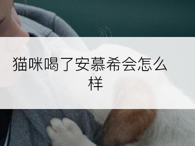 猫咪喝了安慕希会怎么样