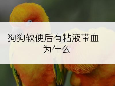 狗狗软便后有粘液带血为什么