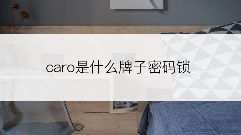 caro是什么牌子密码锁