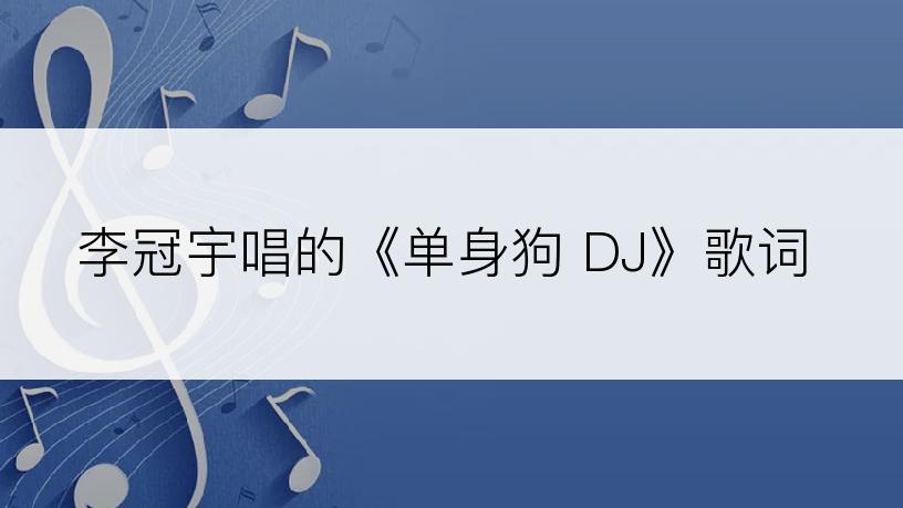 李冠宇唱的《单身狗 DJ》歌词