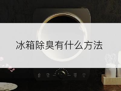 冰箱除臭有什么方法