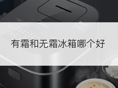 有霜和无霜冰箱哪个好