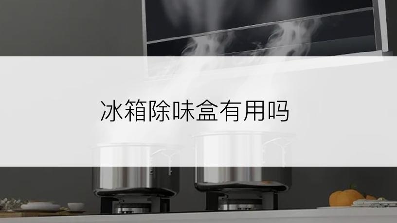 冰箱除味盒有用吗