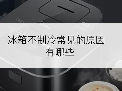 冰箱不制冷常见的原因有哪些