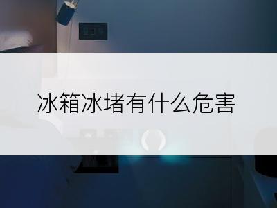 冰箱冰堵有什么危害