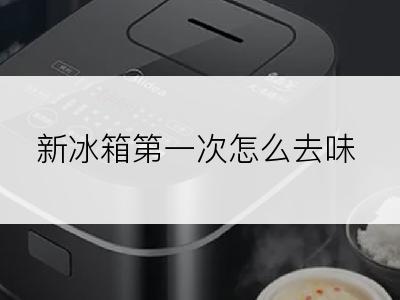 新冰箱第一次怎么去味