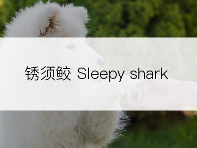 锈须鲛 Sleepy shark