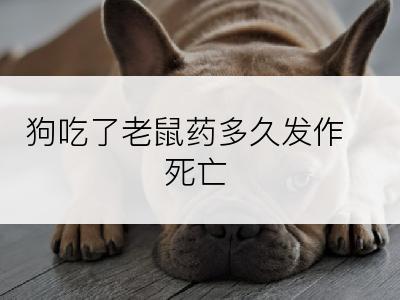 狗吃了老鼠药多久发作死亡