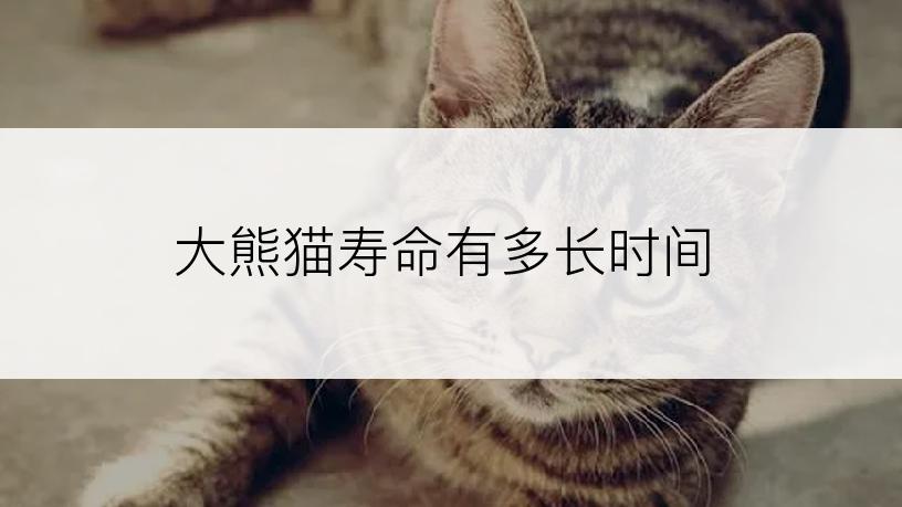 大熊猫寿命有多长时间