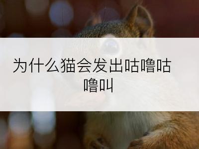 为什么猫会发出咕噜咕噜叫