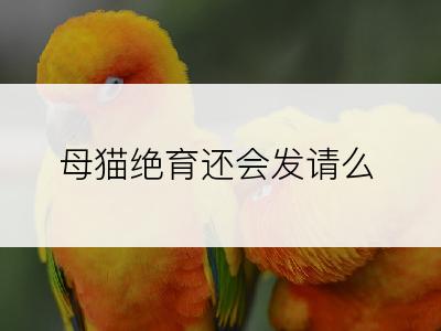 母猫绝育还会发请么