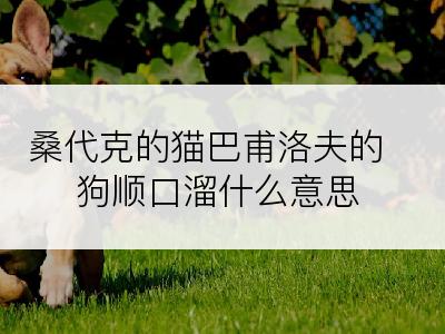 桑代克的猫巴甫洛夫的狗顺口溜什么意思