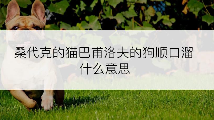 桑代克的猫巴甫洛夫的狗顺口溜什么意思