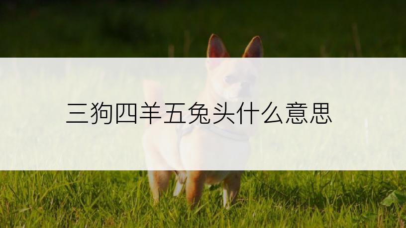 三狗四羊五兔头什么意思